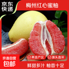 梅州 红心蜜柚 红肉柚子 2-3粒 单果2.3-4斤