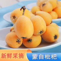 移动端、京东百亿补贴：绿养道 云南蒙自新鲜枇杷 1.5kg