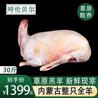 鲜羊官 内蒙呼伦贝尔羊肉 30斤草饲散养现杀全羊白条羊生鲜新鲜整只羔羊 现杀羔羊30斤