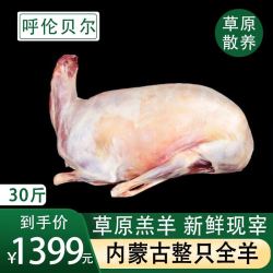 鲜羊官 内蒙呼伦贝尔羊肉 30斤草饲散养现杀全羊白条羊生鲜新鲜整只羔羊 现杀羔羊30斤
