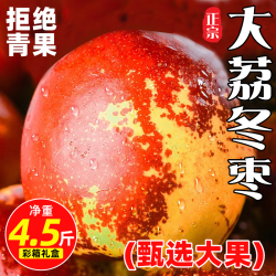 京地达 陕西大荔冬枣礼盒净重4.5斤大果15g+新鲜水果冰糖枣源头直发 4.5斤礼盒装|单果15-20g