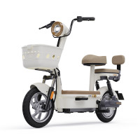 绿源 FBZ7 乐骑10 电动自行车 48V20A