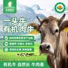 天莱香牛 新疆有机肉牛1头   牛胴体 440斤 源头直发 有机牛1头440斤