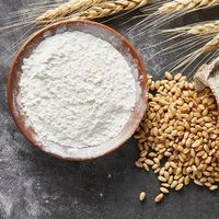 中粮福临门金典原味富强小麦粉5kg家用饺子馒头通用中筋面粉10斤