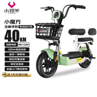 小羚羊 小魔方48V12AH铅酸电动车可上牌电动自行车免费送装上门 源彩绿
