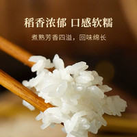 大食唠2024年新米日本大米米种越光米寿司米米越光大米太极米