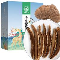 仙草至尊 平盖灵芝片250g 野生平盖灵芝长白山树舌灵芝片野外生长青芝茶