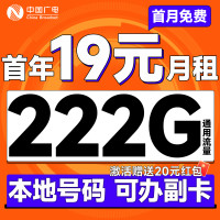 中国广电 本地归属地 首年19元月租(可办副卡+222G通用流量+首月免费用)大圣卡+畅享5G不限网速