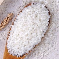 十月稻田 长粒香米 5kg 东北大米