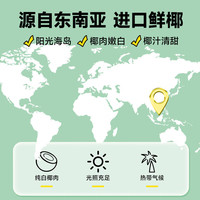 轻上 LIGHT UP0糖生椰木瓜味生榨椰汁胶原蛋白肽蛇年礼盒佳品 0糖生椰原味*5箱装【共50瓶】