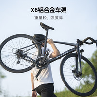 XDS/喜德盛 碟刹 公路自行车