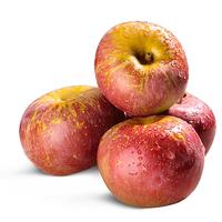 京觅四川大凉山丑苹果 4.5斤 单果75mm+新鲜水果苹果 源头直发 