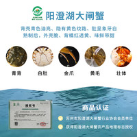 俏苏阁 公3.5两母2.5两4对8只