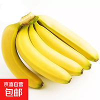 香蕉 banana 广西 高山香蕉 2斤 自然熟