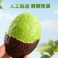 田良季云南哈斯牛油果【多地次日达】新鲜即食婴儿辅食水果送礼品物盒 精品果【单果100-130g】 2个装【尝鲜】