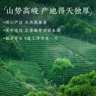 狮峰 特级明前毛尖绿茶 250g纸包