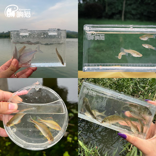 响猫4C小物鱼竿儿童鱼竿猫猫钓鱼竿小钓竿休闲放松轻量便携小手竿 1.5m