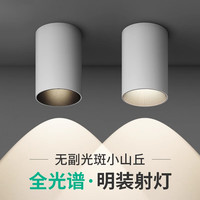 光巨量 明装射灯 10W 4000K 全白款