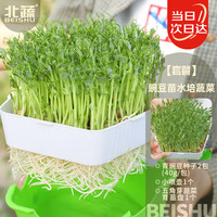 北蔬 豌豆芽苗菜发芽盆 (五角盒)豌豆苗水培蔬菜套装
