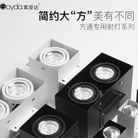 索亚达 方通专用灯 47mm 10w 白壳