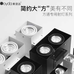 索亚达 方通专用灯 47mm 10w 白壳