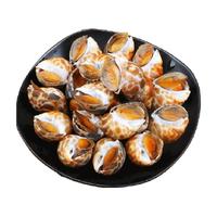 花螺海螺无沙特大号2斤装鲜活速冻东风螺新鲜特大花螺海鲜水产