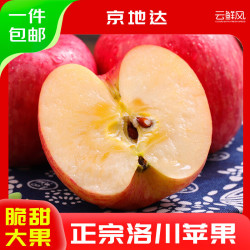 云鲜风 陕西洛川红富士苹果 净重12斤单果230g＋ 脆甜 新鲜水果