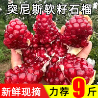福月安 云南软籽石榴 特大果9斤