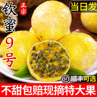 绿念 广西 黄金百香果 5斤