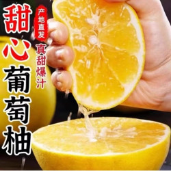 嘟嘟娃 中国大陆 黄金葡萄柚 大果