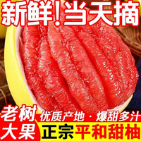 妃多多 福建红心柚子 5斤装