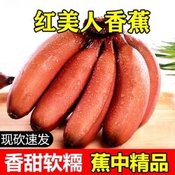 万峰村庄 美人蕉香蕉当季新鲜水果土楼红皮香蕉红香蕉3斤