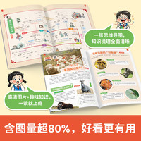 2025秋季开心小趣读大语文知识画报一年级二年级三四五年级上册人教版同步教材课本单元美文分级阅读理解强化训练暑假阅读