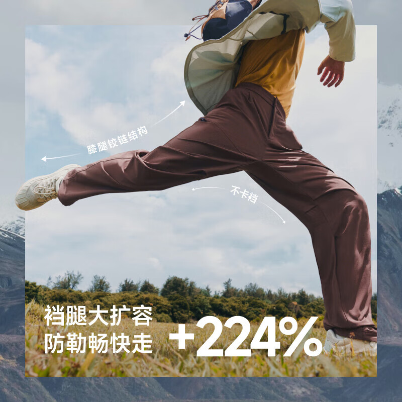 秋岩棕