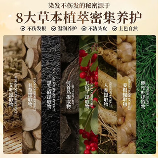  Tongrentang Chinese Medicine/同仁堂 长效盖白 植物染发剂  自然黑 510ml