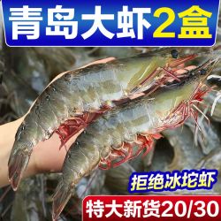 东上御品 气冻虾青岛大虾无冰新鲜特大号液氮气海虾基围虾一箱白虾