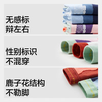 蕉内银皮555Color袜子男女士抗菌新疆精梳棉图案撞色四季中筒袜单双装 【女】合奏A 均码