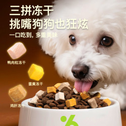 守护天使 冻干鲜鸭肉 中小型犬粮 50g