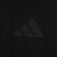 adidas/阿迪达斯 男士夹克