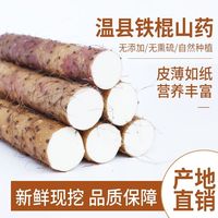易享春 垆土铁棍山药 5斤装 15-25cm