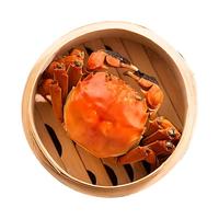 【活蟹】蟹家客 10只装 全母2.8-3.1两 螃蟹鲜活大闸蟹海鲜生鲜源头直发 全母2.8-3.1两 10只装