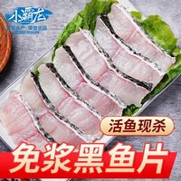 百亿补贴：小霸龙 GUOLIAN 国联 免浆黑鱼片250g/袋*10袋