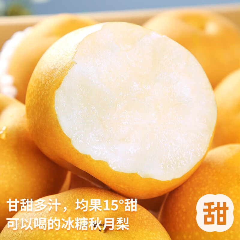 颜曼箐山东莱阳秋月梨 新鲜水果脆甜现摘冰糖甜梨子中秋节送礼  约7-12枚 净重4.5斤+