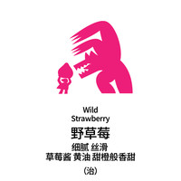 移动端：治光师 BEAM TIMER BEAMTIMER）野草莓拼配 细嗅草莓果香 新鲜中深烘焙 意式拼配咖啡豆150g