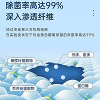 妇炎洁内衣清洗液内衣内裤洗衣液植物本草内裤除菌洗液除螨去血渍污渍 300g本草香型