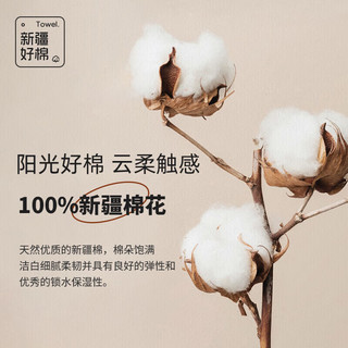 洁丽雅 GRACE7A抗菌纯棉浴巾儿童家用加大洗澡全棉吸水男女毛巾大人裹巾 纯棉加厚款