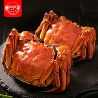 【礼券】蟹行万家大闸蟹礼品卡螃蟹券中秋大闸蟹礼盒4对8只装 888型 公3.0两母2.0两 4对 8只