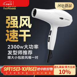 火之凤 吹风机3000 中秋礼品家用电吹风筒2400W大功率速干理发店发廊专用大风力造型冷热风