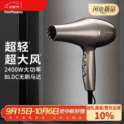 火之凤 吹风机5610H 高速电吹风家用发廊级2400W大风力速干低噪音理发店