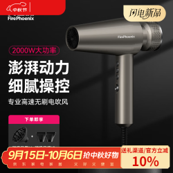 火之凤 M2高速吹风机理发店专用电吹风筒负离子不伤发家用发廊专用中秋礼品礼物 M2钛金灰 2000W
